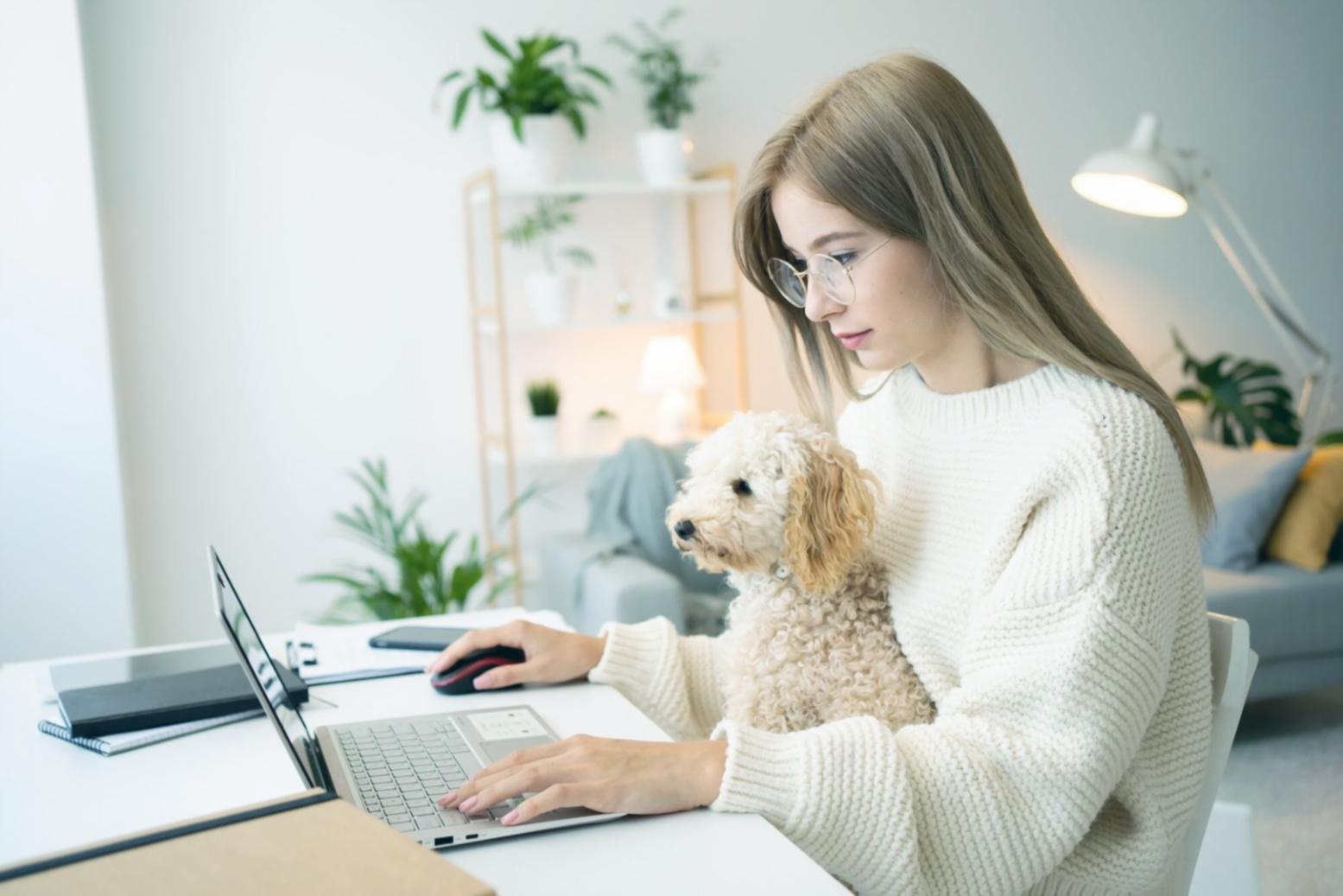 Frontend-Entwicklungsworkshop mit strukturierten Lerninhalten